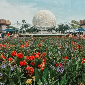 Meet your Posher, Allyson